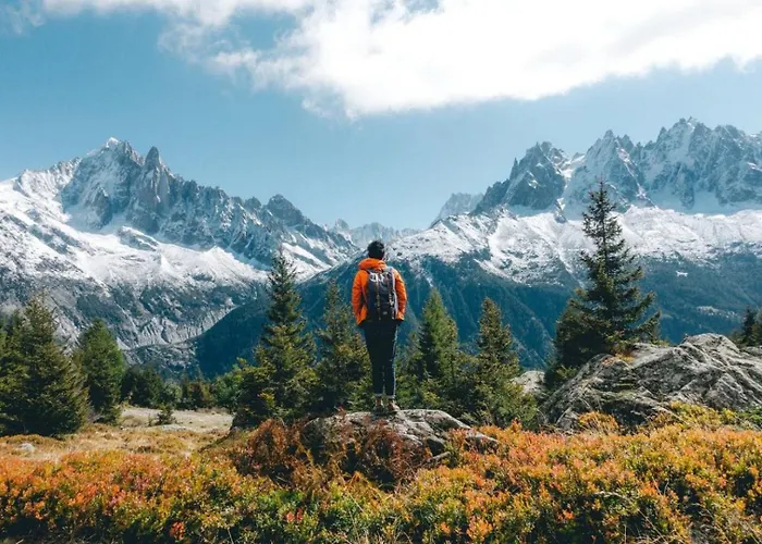 Capucin - A 3 Bedroom Mountain Loft Apartment Chamonix